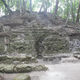 Illustration for article titled Even Deadly Snakes and Monkey Shit Couldnt Stop Me From Excavating Maya Ruins in the Jungle